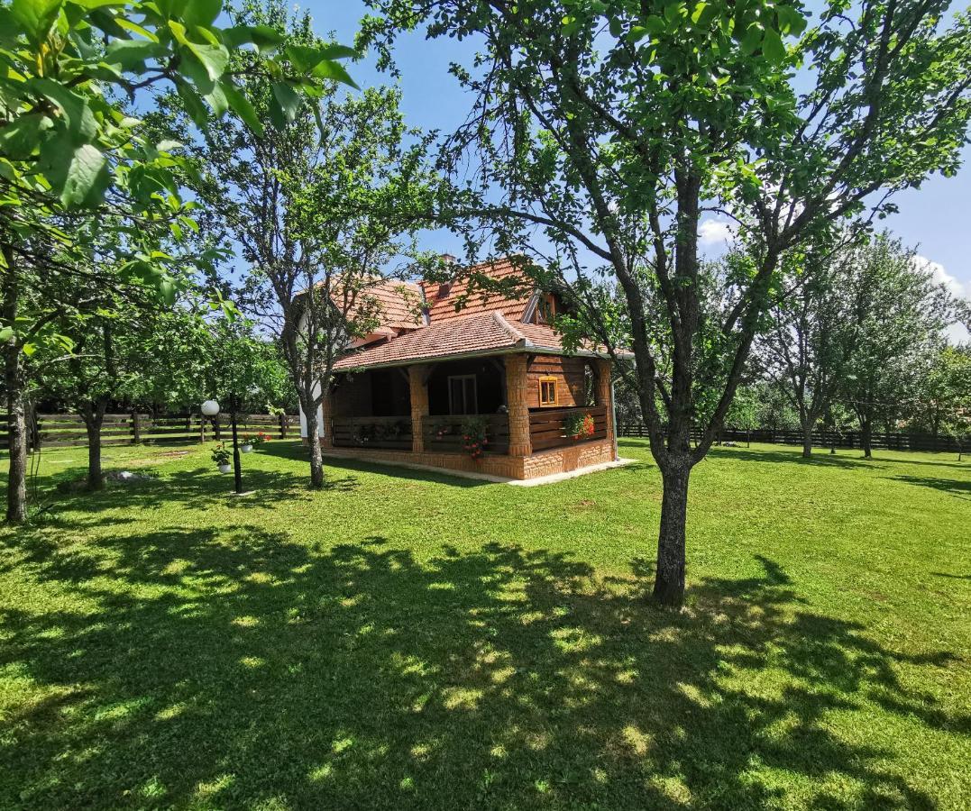 Ferienwohnung Seosko Domacinstvo Bondzulic Užice Exterior foto