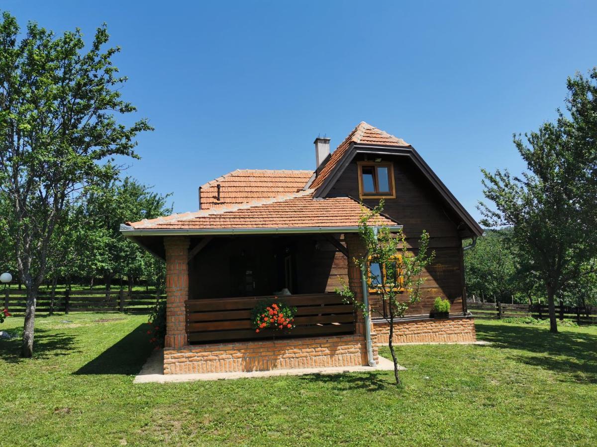 Ferienwohnung Seosko Domacinstvo Bondzulic Užice Exterior foto