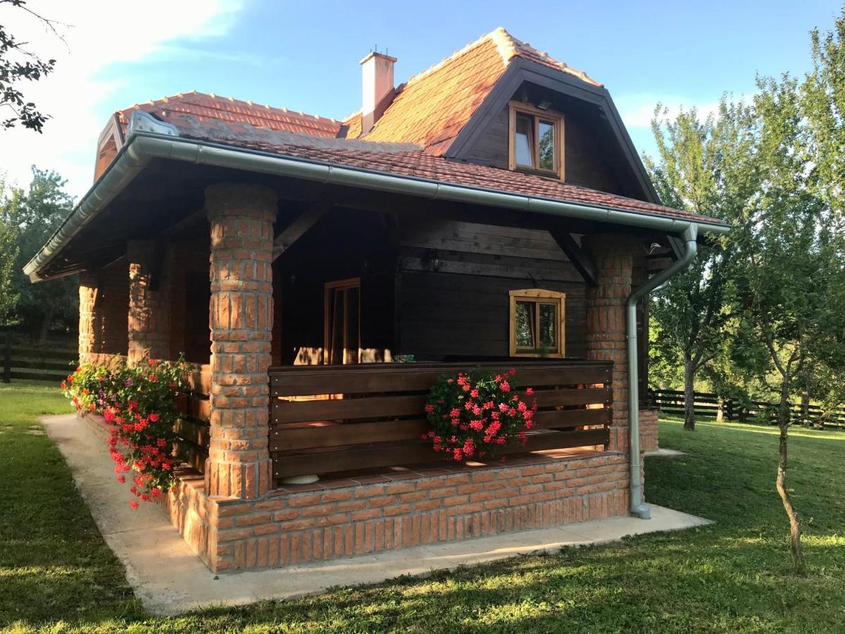 Ferienwohnung Seosko Domacinstvo Bondzulic Užice Exterior foto