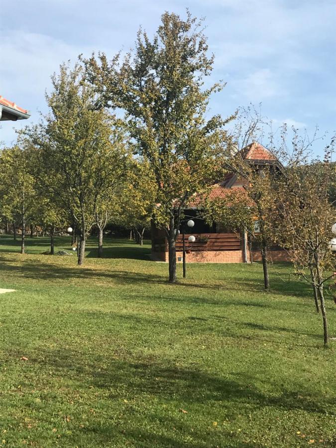 Ferienwohnung Seosko Domacinstvo Bondzulic Užice Exterior foto