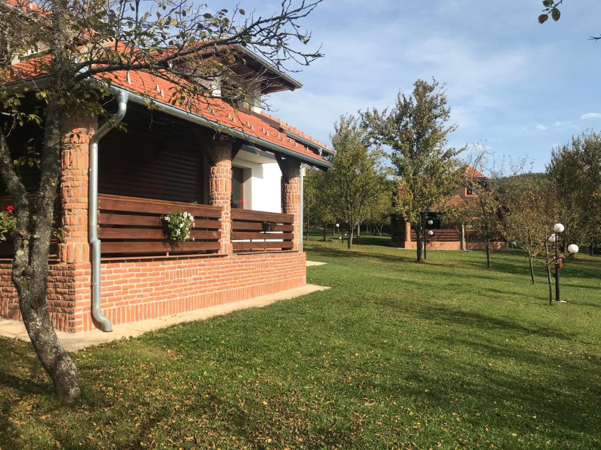 Ferienwohnung Seosko Domacinstvo Bondzulic Užice Exterior foto